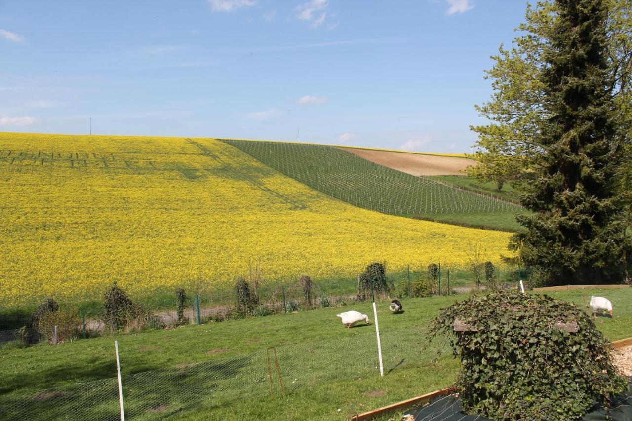 Happy & Relax Bed & Breakfast Mentque-Nortbecourt Bagian luar foto